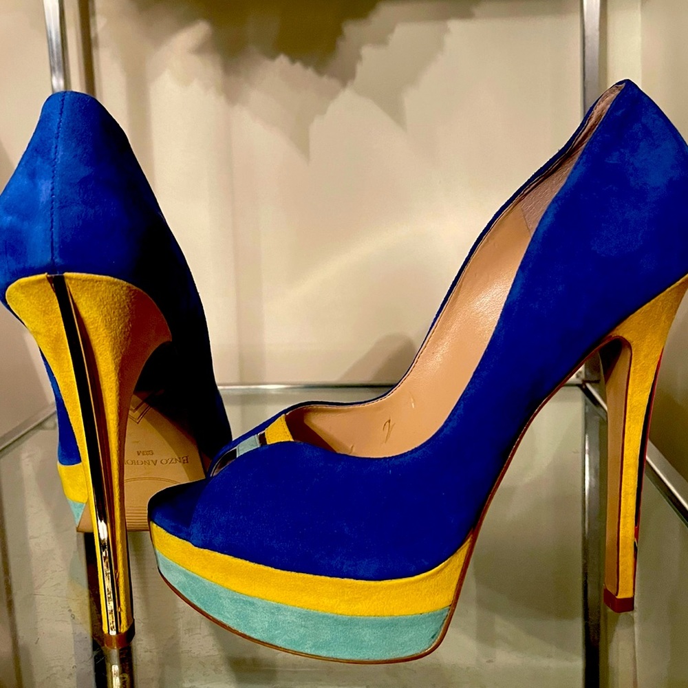 Beautiful brand new heels from Dillards.